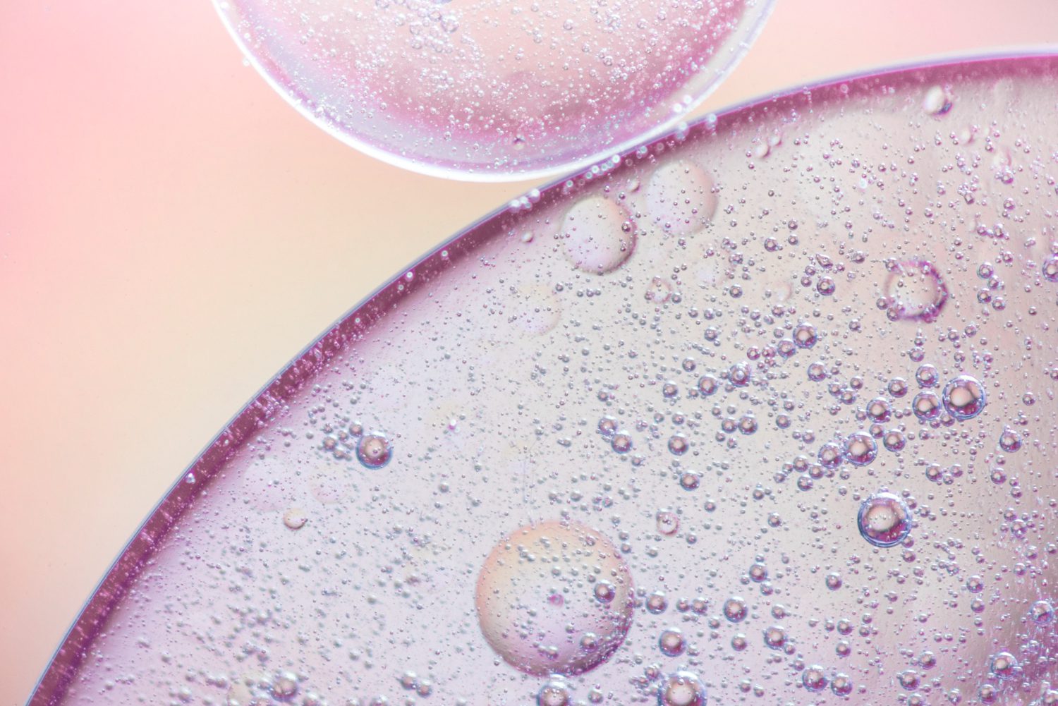 Article on the topic Stem Cell Therapy for Multiple Sclerosis